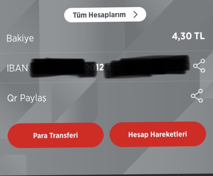 Hesabınızda ne kadar var?