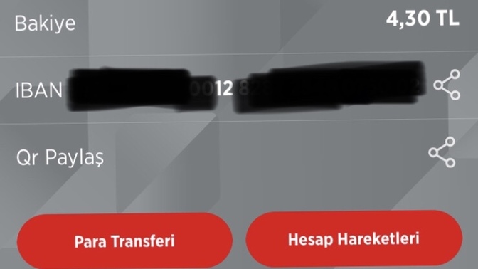 Hesabınızda ne kadar var?
