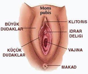 Regl sonrası vajinada ağrı olması normal mi?