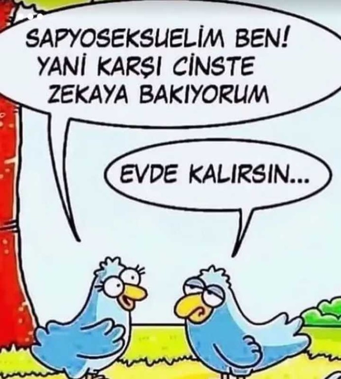 Karşı cinste zekaya bakanlar evde mi kalır?