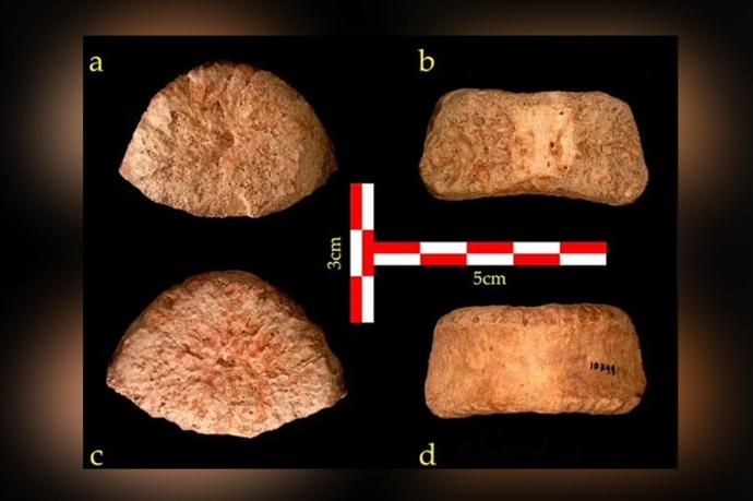 İsrailde 1,5 milyon yıllık insan omuru keşfedildi! Bu buluş Adem ile Havva tezini çürütür mü?