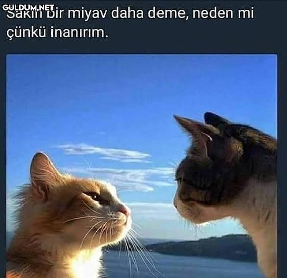 😄