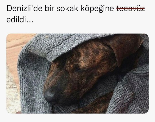Bu kötülükler ne zaman bitecek?