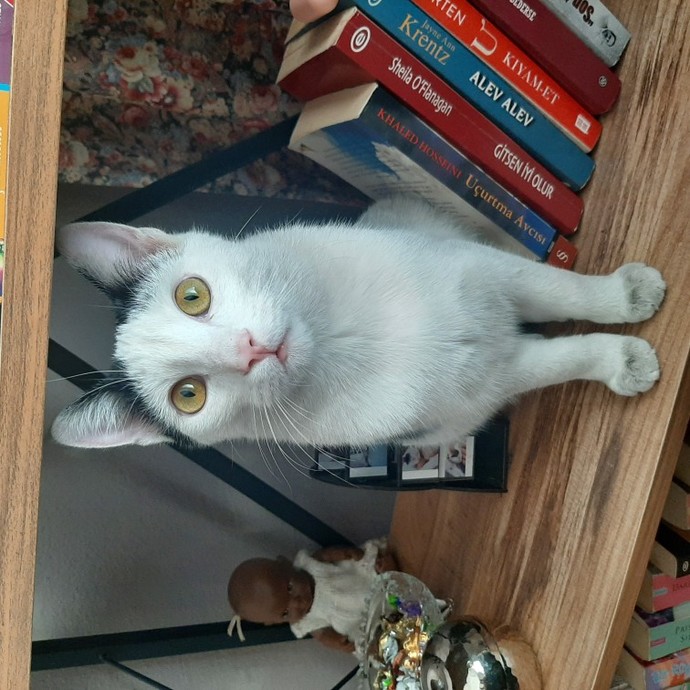 Oğlumu çok özlüyorum, ben bu acıya nasıl dayanacağım?