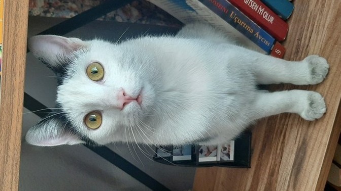 Oğlumu çok özlüyorum, ben bu acıya nasıl dayanacağım?