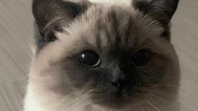 Hey! Birbirimiz hakkında tahminde bulunmaya var mısın?