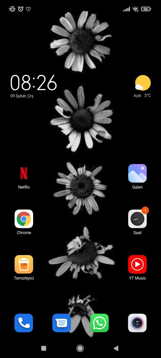 Telefonunuzun duvar kağıdı resminde ne var😁?