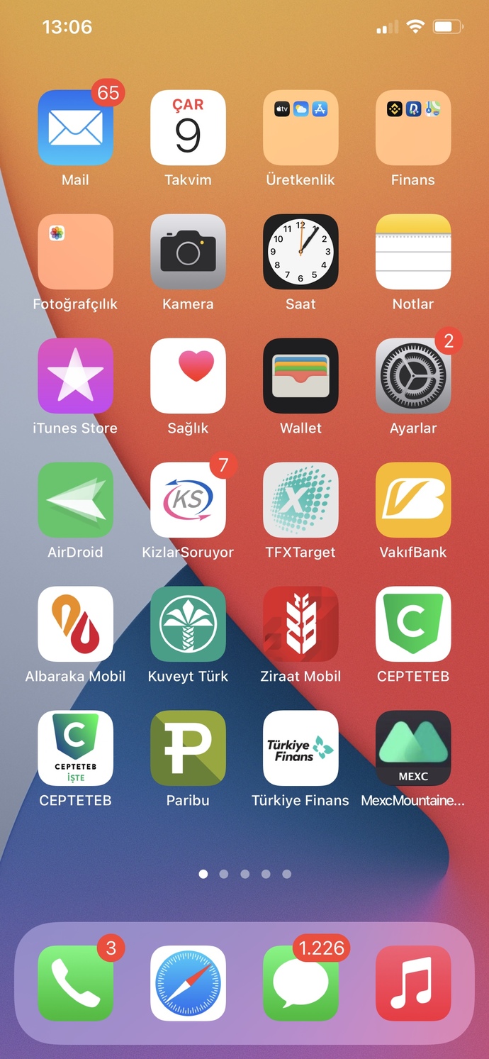 Telefonunuzun duvar kağıdı resminde ne var😁?