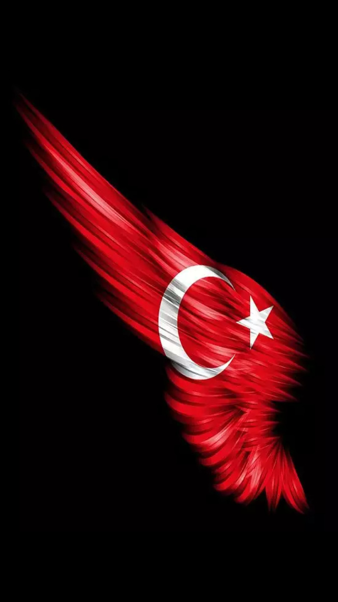 Telefonunuzun duvar kağıdı resminde ne var😁?