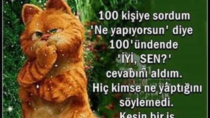 " Ne yapıyorsun " sorusuna ne cevap verirsiniz?