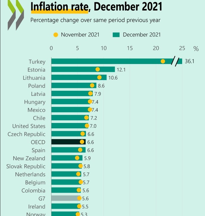 Türkiye TÜİK Enflasyonu %36 ile OECD Enflasyon Sıralamasında En Üst Sırada.