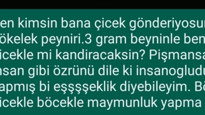 Benimle dalga geçer gibi çiçek göndermesine ne demeli?