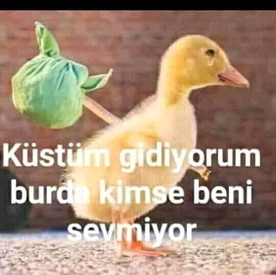"Zoru görünce kaçan!" denildiğinde gözünüzde canlanan hangi burç?