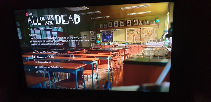 Netflix Kore Dizisi Önerisi?