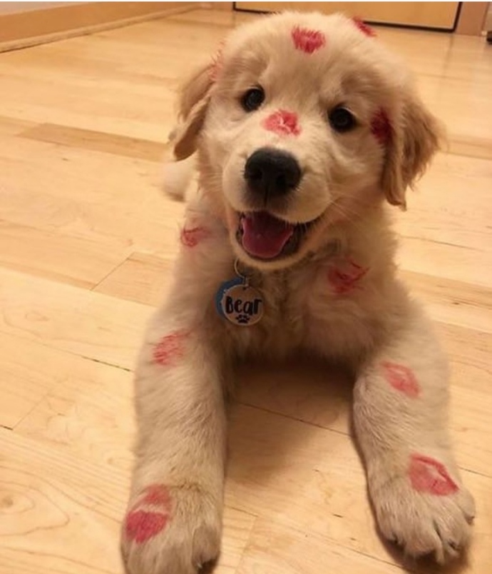 Yerim ben bu Tatlışı🥰😘❤️😂