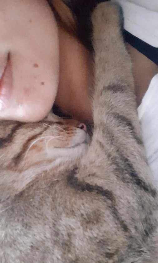 Erkekim uyanmıyor, söyleyin bana nasıl uyandırayım bunu😻?