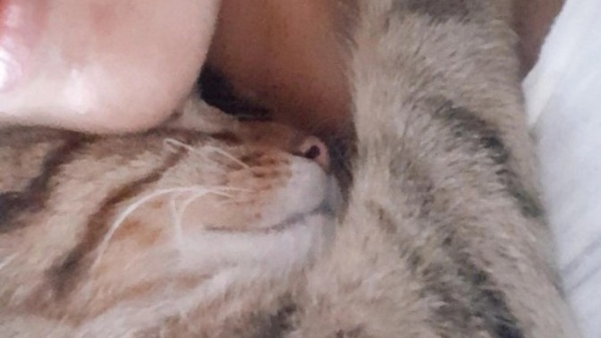 Erkekim uyanmıyor, söyleyin bana nasıl uyandırayım bunu😻?