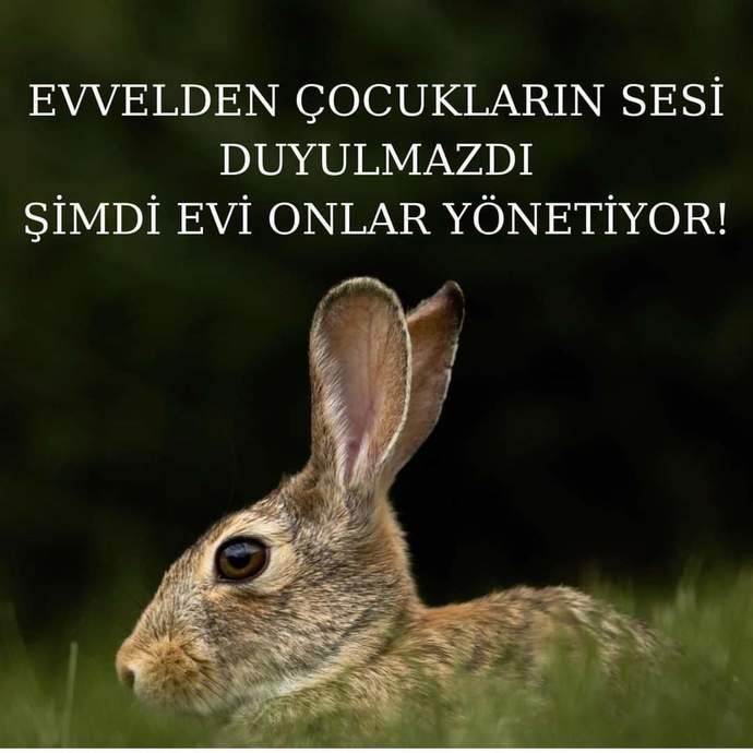 Artık evi çocuklar mı yönetiyor?