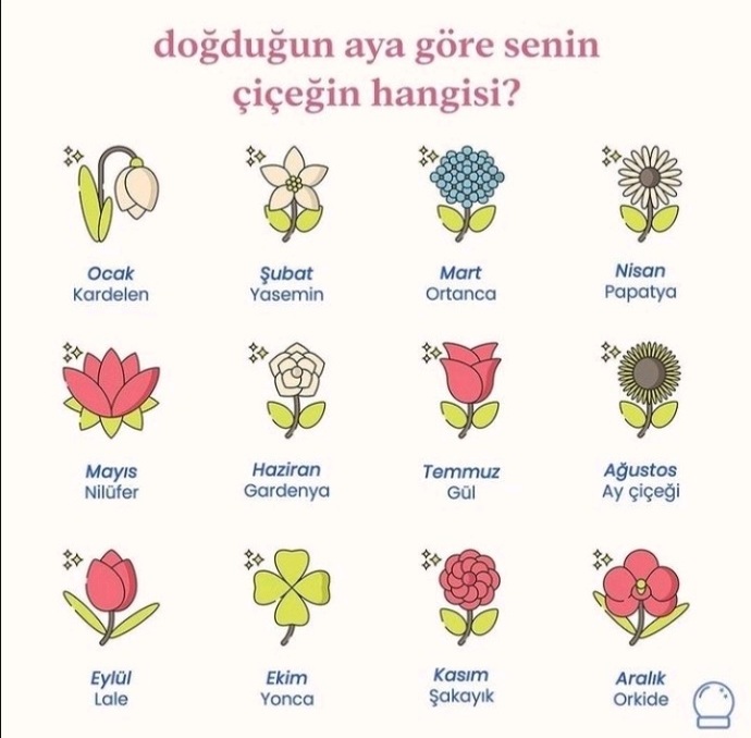 Doğduğun aya göre senin çiçeğin hangisi?