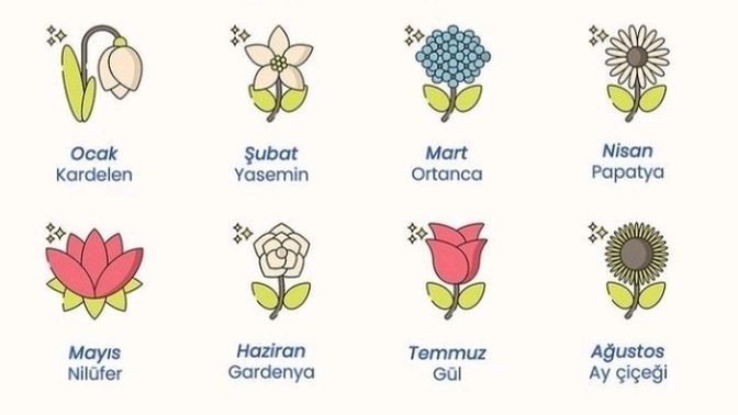 Doğduğun aya göre senin çiçeğin hangisi?
