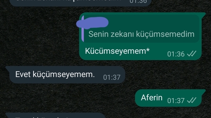Çok mu ters konuşmusum yoksa iyi mi demisim?