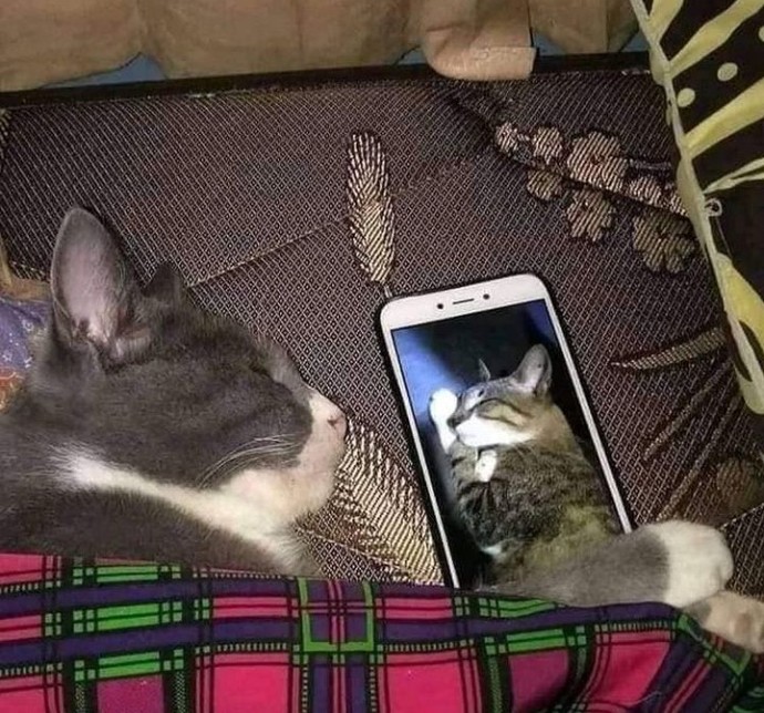 Daha yapacağınız neler var hayatta?