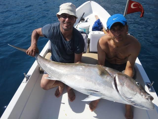 Levrek mi Cupra mi balik ekmek icin?