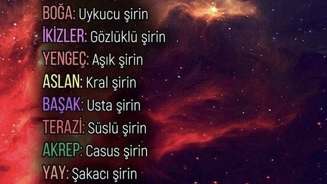 Burcuna göre hangi şirinsin?