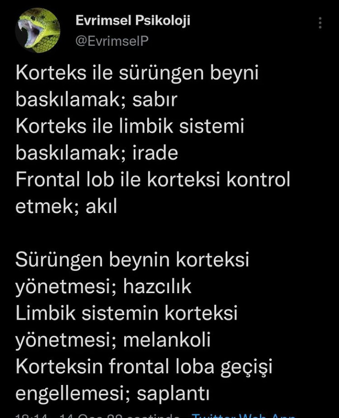 Beyninizin hangi bölümü baskın?