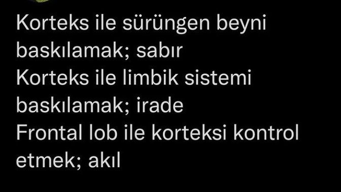 Beyninizin hangi bölümü baskın?