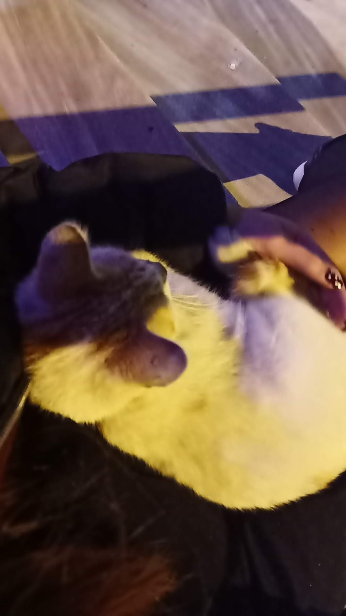 💜