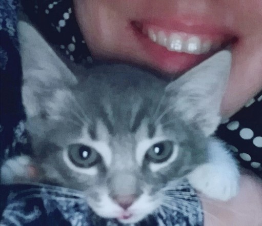 Bugün Dünya Kedi Günü! Bir patili fotoğrafıyla kutlayalım mı?