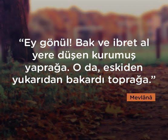 Allah her peygamberi elçi olmaları yanısıra, onların hayatına bakarak empati yapmamız için göndermiş olabilir m?