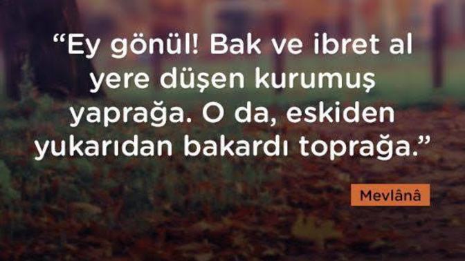 Allah her peygamberi elçi olmaları yanısıra, onların hayatına bakarak empati yapmamız için göndermiş olabilir m?