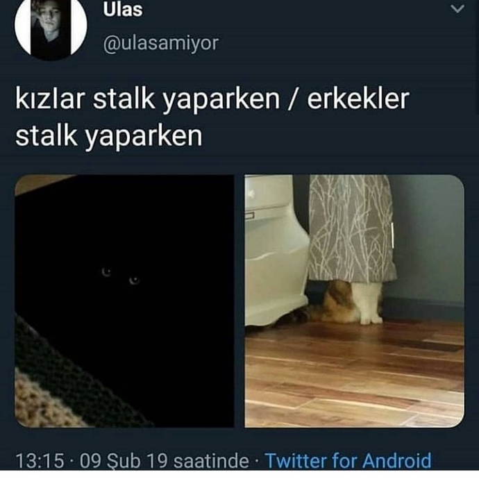 Stalk denince akla ilk hangi cins geliyor? Kadınlar mı, erkekler mi?