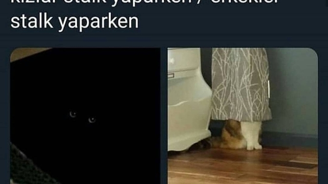 Stalk denince akla ilk hangi cins geliyor? Kadınlar mı, erkekler mi?
