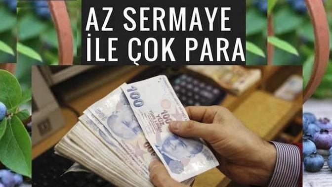 60 bin sermayeniz olsa, batmadan tek başınıza nasıl bir iş yapardınız?