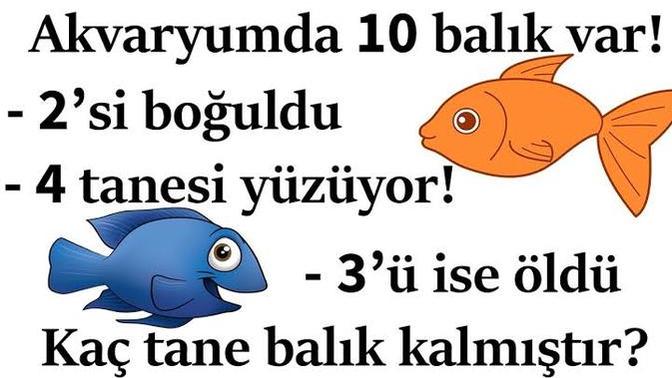 Balık besleyenler bilmesi gerek?