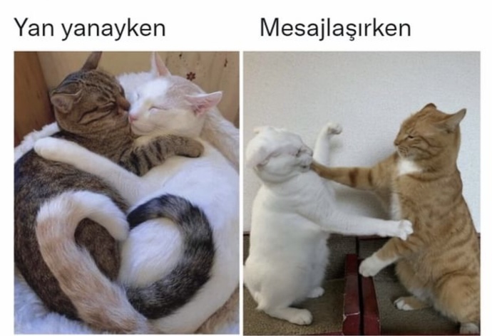 Sevgiliniz/eşinizle yazışırken mi, yan yan yanayken mi daha iyi anlaşıyorsunuz?