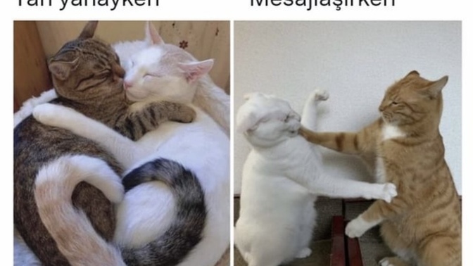 Sevgiliniz/eşinizle yazışırken mi, yan yan yanayken mi daha iyi anlaşıyorsunuz?