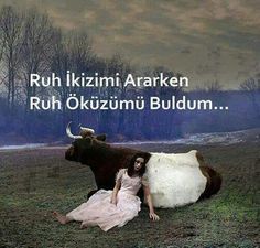 Kızlar ruh eşini ararken, hep ruh öküzlerine mi denk geliyor?