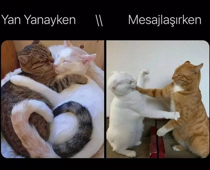 Mesajlaşırken /yanyanayken sizdemi böylesiniz?