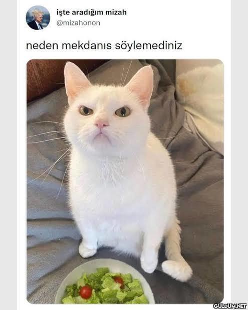 Akşam evde yalnızım, ne sipariş etsem?