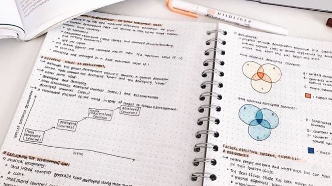 Hintliler neden matematikte bu kadar iyi?