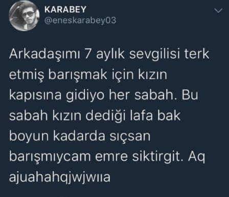 Flörtüm onu affetmem için gül göndermiş, bir güle düşmeli miyim?