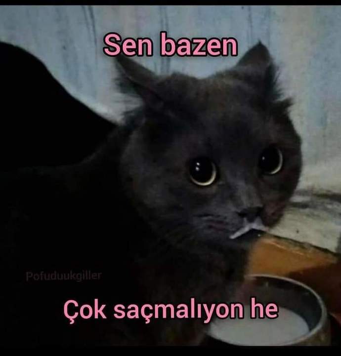 Kendiniz hakkında duyduğunuz son olumsuz eleştiri neydi?