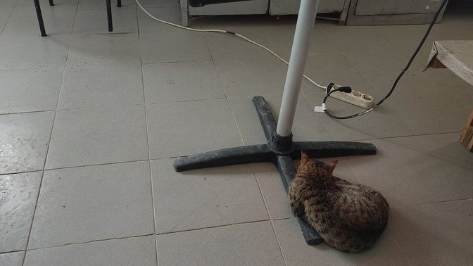 Odamızı terk etmeyen bir misafirimiz var, ne yapsak ki😊?