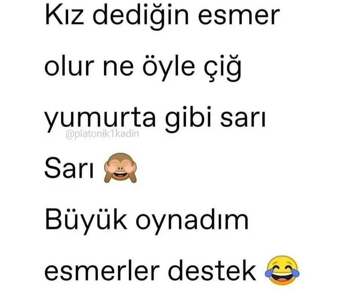 Karşı cinste tercihiniz Esmer mi sarışın mı?