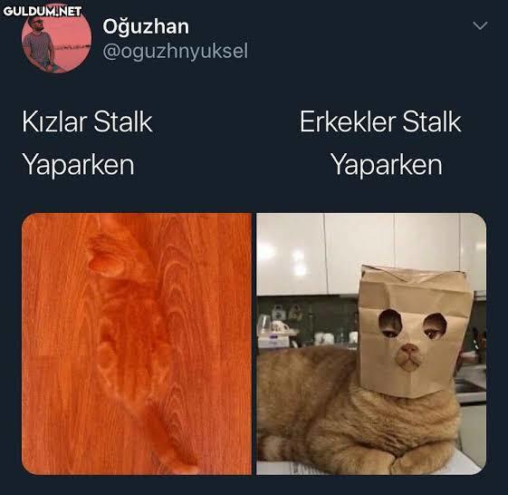 Kadınlar mı, erkekler mi karda yürüyüp izlerini belli etmez?