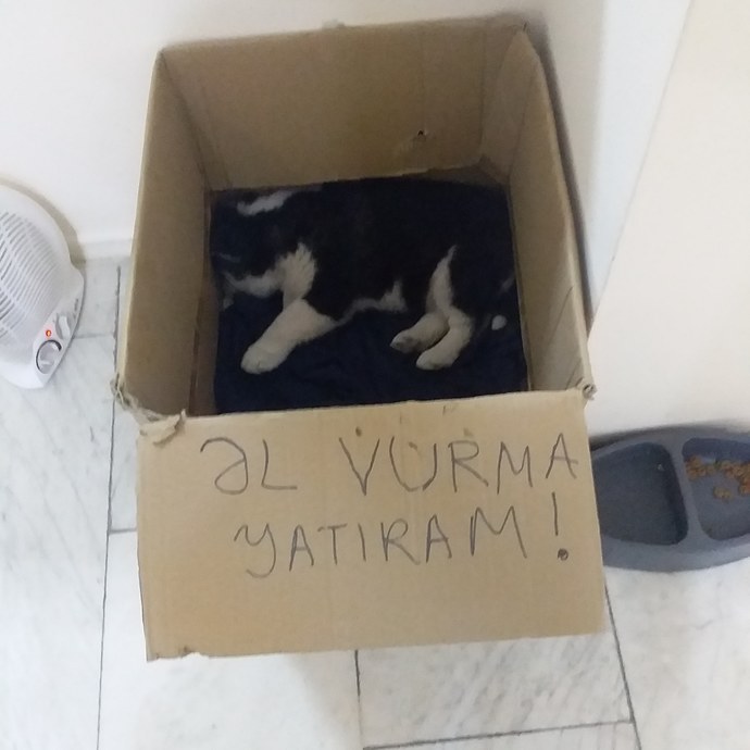 Gezenleri kıskanarak geçirdiğim akşamımdan hepinize selammmm! Anlık fotoları alalım mı🥳?